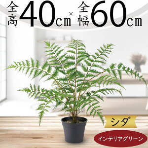 tFCNO[  lC A  CeAO[ lHϗtA  lH  A[gO[ IuWF { CeA Mtg 蕨 Vzj JXj 