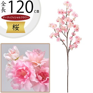   TN  ^  lC A A[eBtBVt[ lHϗtA CeAO[ tFCNO[ A[gt[ t[AWg ԍ fBXv