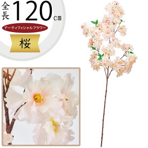   TN  ^  lC A A[eBtBVt[ lHϗtA CeAO[ tFCNO[ A[gt[ t[AWg ԍ fBXv