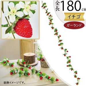 HiTv  K[h lC A C`S  tFCNt[h  Xgx[  t[AWg fBXvC e[uR[fBl[g ꑕ Hi͌^ 