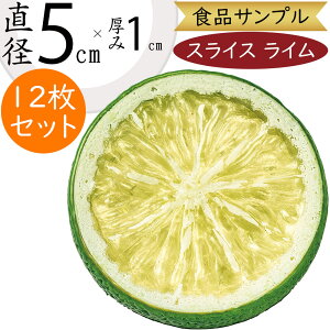 HiTv C A lC XCX ֐؂ Jbg k tFCNt[h  ʕ ʎ   AW fBXvC e[uR[fBl[g  ͌^ _   