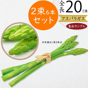 HiTv AXpKX lC A O[AXpKX s tFCNt[h  xW^u T_   AWg fBXvC  Hi͌^  X HX 