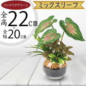 tFCNO[ ϗtA  CeAO[ A lC A[gvc  lHϗtA lH IuWF ^   TCY e[uTCY KXԊ