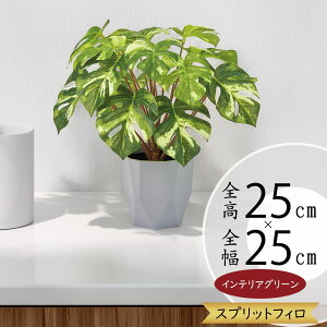 Xe tFCNO[  lC  A CeAO[ ^   lHϗt lH  CeA IuWF { ChAO[  r