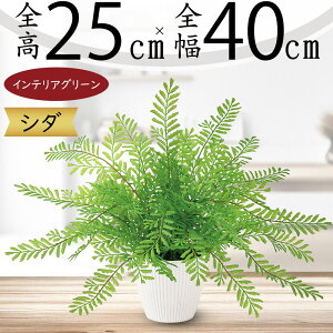 tFCNO[ ^  lC  A CeAO[ ϗtA lHϗtA lH  IuWF CeA e[uTCY TCY Vzj JXj Mt