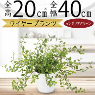 フェイクグリーン 小型 おしゃれ 人気 おすすめ リアル インテリアグリーン 観葉植物 人工観葉植物 人工…