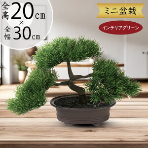 ~  tFCNO[  lC  A CeAO[ ϗtA lHϗtA CeA IuWF lH a_ bonsai Mtg v[g Cxg T ՓT j