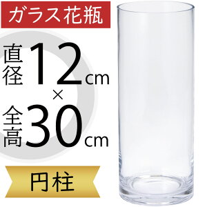 ガラス花瓶 大型 おしゃれ 人気 フラワーベース 花器 花瓶 ガラス花器 ガラス 円柱 筒型 筒形 インテリア 透明 クリア 硝子 花入れ フラワーアレンジメント 花 緑 花束 ブーケ ディスプレイ