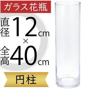 ガラス花瓶 大型 おしゃれ 人気 フラワーベース 花器 花瓶 ガラス花器 ガラス 円柱 筒型 筒形 インテリア 透明 クリア 硝子 花入れ フラワーアレンジメント 花 緑 花束 ブーケ ディスプレイ