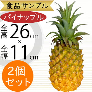 HiTv pCibv A lC pC tFCNt[h ʕ t[c   t[AWg fBXvC e[uR[fBl[g  ͌^  X HX 