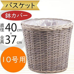 oXPbg Jo[ v^[ Jo[ ^  lC CeA ϗtA ChAO[ CeAO[ VRf Rf Ԋ Mtg t[AWg    