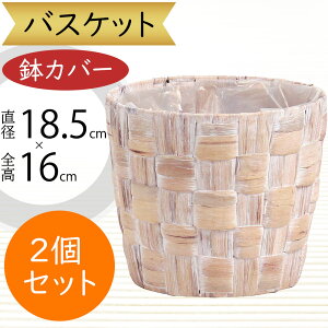 oXPbg Jo[ v^[ Jo[  lC CeA ϗtA ChAO[ CeAO[ VRf Rf Ԋ Mtg t[AWg    |