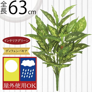 tFCNO[ Op  lC CeAO[ A ϗtA  A[gvc CeA lHϗtA lH ԍ IuWF t[AWg fBXvC 