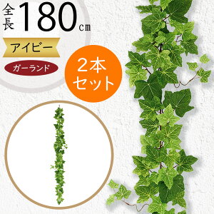 K[h  lC  tFCNO[ CeAO[ lHϗtA  A[eBtBVt[ A fR[V fBXvC t ǖʑ V t