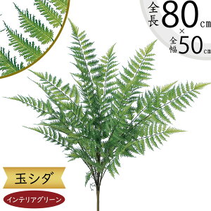 ^}V_ tFCNO[  CeAO[ A lHϗtA ϗtA  A[eBtBVt[ t ԍ ʃV_ ltsX t[AWg fBXv