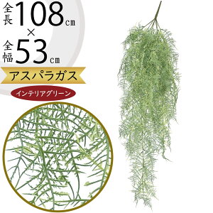 AXpKX tFCNO[ ^  CeAO[ lC A lHϗtA A[gvc  t } ϗtA A[gO[ lH CeA IuWF Ƌ 