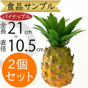 HiTv pCibv lC pC A tFCNt[h ʕ t[c    AWgg fBXvC e[uR[fBl[g  ͌^  X HX 