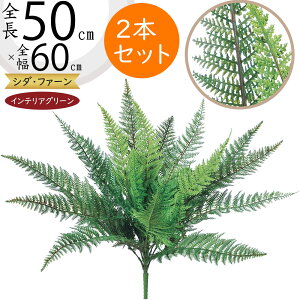 ^}V_ tFCNO[  CeAO[ A lHϗtA ϗtA  A[eBtBVt[ t ԍ ʃV_ ltsX t[AWg fBXv