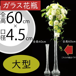 KXԕr ^  lC t[x[X Ԋ ԕr CeA   NA Ɏq ԓ t[AWg   t fBXvC Mtg v[g ꑕ p[e