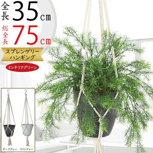 tFCNO[ nMO v^[  lC  CeAO[ ϗtA  A lHϗt  CeA |bg t Aؔ Jo[ | ݂邷 ݂邵 