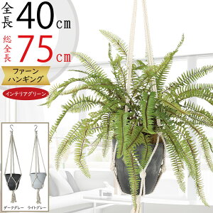 tFCNO[ nMO v^[  lC  CeAO[ ϗtA  A lHϗt  CeA |bg t Aؔ Jo[ | ݂邷 ݂邵 