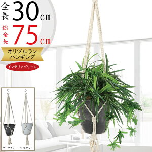 tFCNO[ nMO v^[  lC  CeAO[ ϗtA A lHϗt  CeA |bg t Aؔ Jo[ | ݂邷 ݂邵 ݂邹