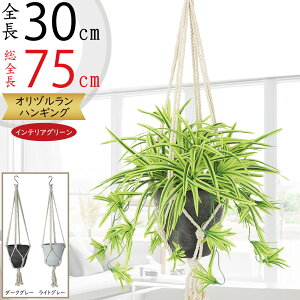 tFCNO[ nMO v^[  lC  CeAO[ ϗtA A lHϗt  CeA |bg t Aؔ Jo[ | ݂邷 ݂邵 ݂邹