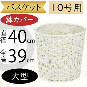 oXPbg Jo[ v^[ Jo[ ^ zCg   lC CeA ϗtA ChAO[ CeAO[ Ԋ Mtg t[AWg   | ϗt