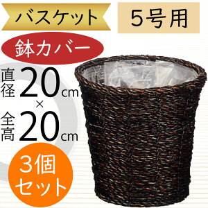 oXPbg Jo[ v^[ Jo[ _[NuE  lC CeA ϗtA ChAO[ CeAO[ Ԋ Mtg t[AWg 񂹐A | 