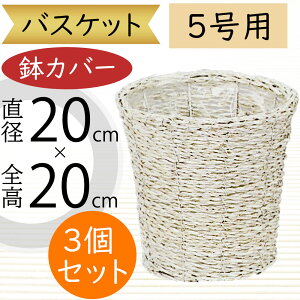 oXPbg Jo[ v^[ Jo[ zCg   lC CeA ϗtA ChAO[ CeAO[ VRf Ԋ Mtg t[AWg   | 