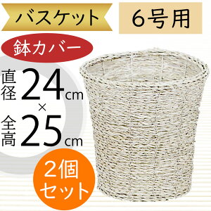 oXPbg Jo[ v^[ Jo[ zCg   lC CeA ϗtA ChAO[ CeAO[ VRf Ԋ Mtg t[AWg   | 