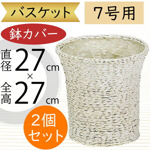 バスケット 鉢カバー プランター カバー ホワイト 白 おしゃれ 人気 インテリア 観葉植物 インドアグリーン インテリアグリーン 天然素材 花器 ギフト フラワーアレンジメント 花 緑 園芸鉢