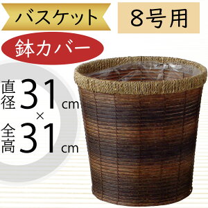 oXPbg Jo[ v^[ Jo[ ^ uE   lC CeA ϗtA ChAO[ CeAO[ Ԋ Mtg t[AWg   | ϗt