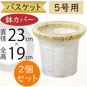 oXPbg Jo[ v^[ Jo[ zCg   lC CeA ϗtA ChAO[ CeAO[ Ԋ Mtg t[AWg   | ϗt A