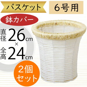 oXPbg Jo[ v^[ Jo[ zCg   lC CeA ϗtA ChAO[ CeAO[ Ԋ Mtg t[AWg   | ϗt A