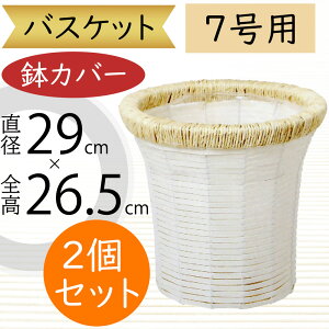 oXPbg Jo[ v^[ Jo[ zCg   lC CeA ϗtA ChAO[ CeAO[ Ԋ Mtg t[AWg   | ϗt A