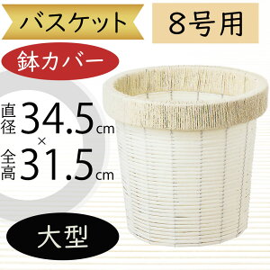 oXPbg Jo[ v^[ Jo[ ^ zCg   lC CeA ϗtA ChAO[ CeAO[ Ԋ Mtg t[AWg   | ϗt