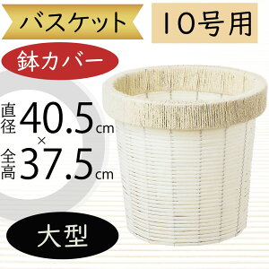 oXPbg Jo[ v^[ Jo[ ^ zCg   lC CeA ϗtA ChAO[ CeAO[ Ԋ Mtg t[AWg   | ϗt