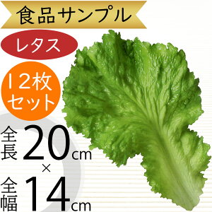 HiTv ^X lC ^X̗t   A tFCNt[h   xW^u T_   AWg fBXvC  ͌^  X HX S 