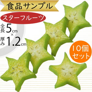 HiTv X^[t[c A lC XCX tFCNt[h ʕ t[c   t[AWg fBXvC e[uR[fBl[g  Hi͌^  X 