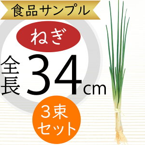 HiTv \˂ A lM ˂ ˂ K A tFCNt[h  xW^u   AW fBXvC e[uR[fBl[g  Hi͌^  X HX 