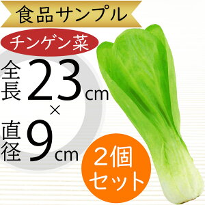 食品サンプル チンゲン菜 人気 リアル チンゲンサイ 青梗菜 ちんげんさい フェイクフード 野菜 ベジタブル サラダ 果物 造花 おすすめ ディスプレイ スーパー 装飾 模型 陳列 店内 青果売り