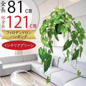 tFCNO[ nMO v^[  lC  CeAO[ A lHϗtA  CeA |bg t Aؔ Jo[ | ݂邷 ݂邵 ݂邹 