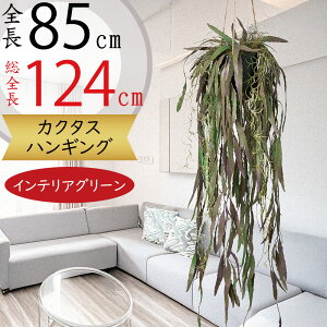 tFCNO[ nMO v^[  lC  CeAO[ A lHϗtA  CeA |bg t Aؔ Jo[ | ݂邷 ݂邵 ݂邹 