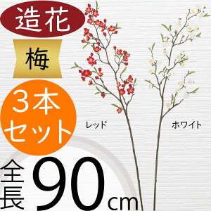 ~  E   lC A[eBtBVt[ } } Mtg v[g A t[AWg fBXvC p A[gt[ CeA tFCNO