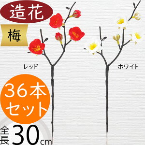 ~  E   lC A[eBtBVt[ } } Mtg v[g A t[AWg fBXvC p A[gt[ CeA tFCNO