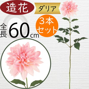 _A   lC A[eBtBVt[ Mtg v[g A t[AWg fBXvC A[gt[ ԍ  CeA tFCNO[ G 