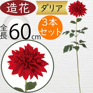 _A   lC A[eBtBVt[ Mtg v[g A t[AWg fBXvC A[gt[ ԍ CeA tFCNO[ G  I