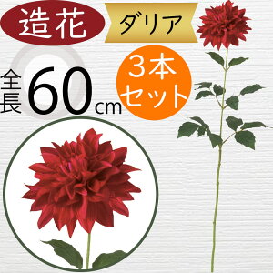 _A   lC A[eBtBVt[ Mtg v[g A t[AWg fBXvC A[gt[ ԍ  CeA tFCNO[ G 