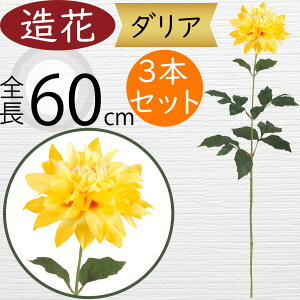 _A   lC A[eBtBVt[ Mtg v[g A t[AWg fBXvC A[gt[ ԍ CeA tFCNO[ G  I